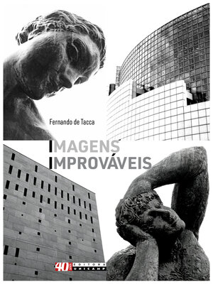 cover image of Imagens improváveis